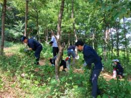 파주시 운정6동, 생태계교란 야생식물 제거로 지역 환경 개선 기사 이미지