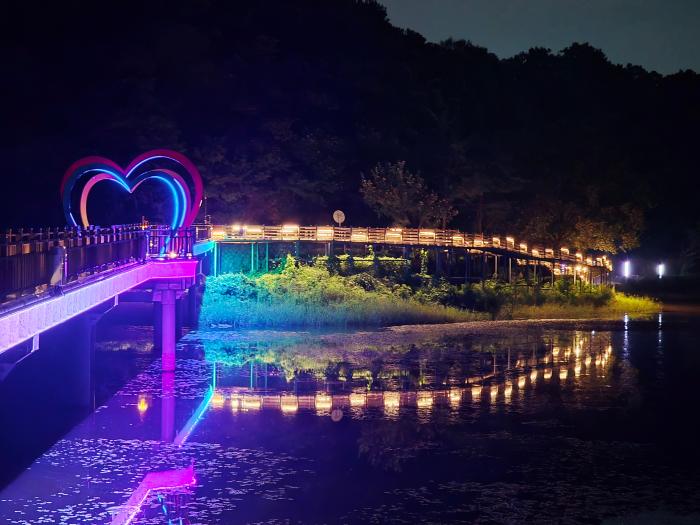 공릉호수는 낮에는 계절에 따라 변화하는 자연 풍경을 밤에는 수면 위로 반사되는 경관조명의 낭만을 감상할 수 있어 가족 나들이와 연인들의 새로운 데이트 코스로 사랑받을 것으로 보인다 하효종 기자2026 9 13